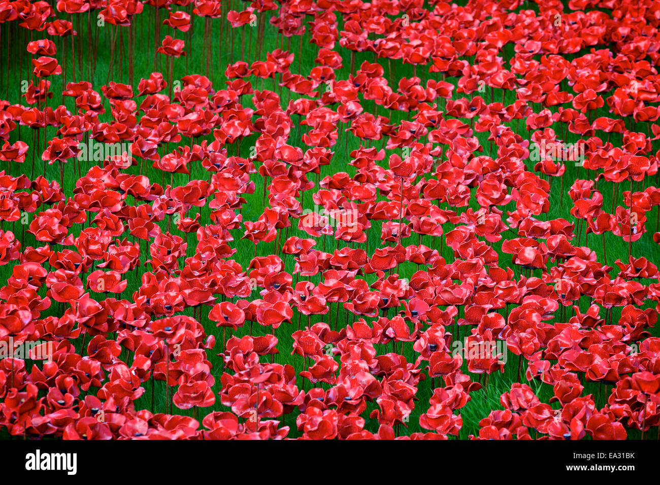 Blut Mehrfrequenzdarstellung Länder und Meere von Red Installation at The Tower of London, London, England, UK Stockfoto