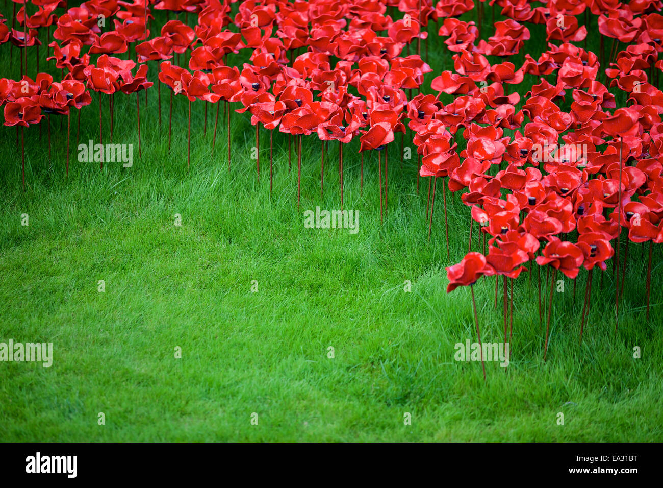 Blut Mehrfrequenzdarstellung Länder und Meere von Red Installation at The Tower of London, London, England, UK Stockfoto