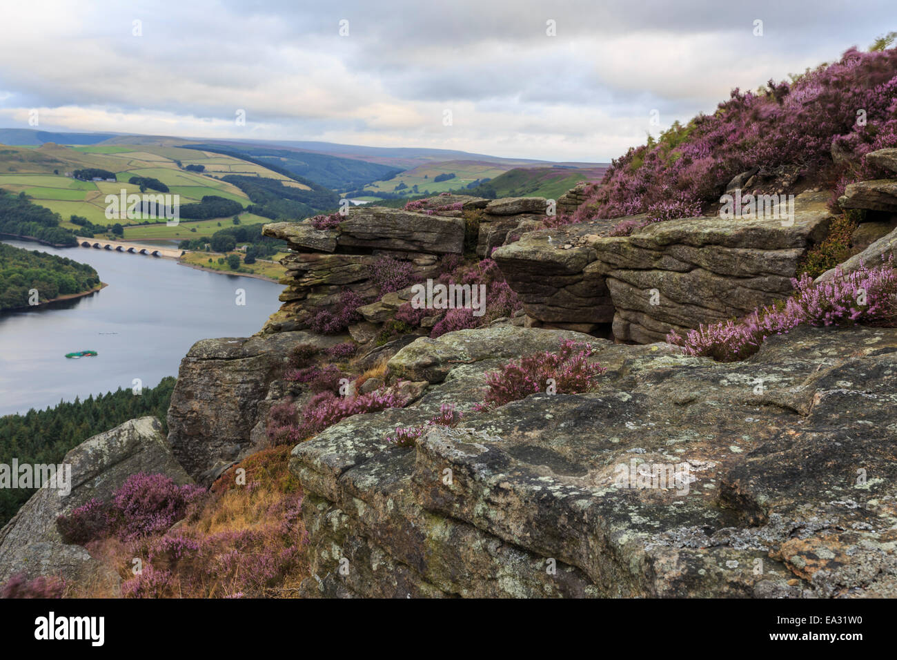 Bamford Edge mit Heather über Ladybower und Ashopton Brücke bei Dämmerung, Peak District, Derbyshire, England, Vereinigtes Königreich Stockfoto