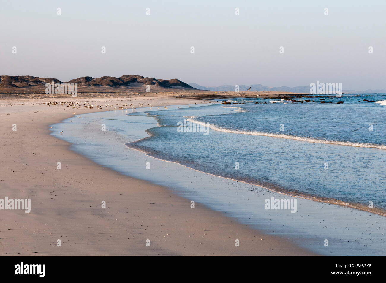 Masirah Island, Oman, Naher Osten Stockfoto
