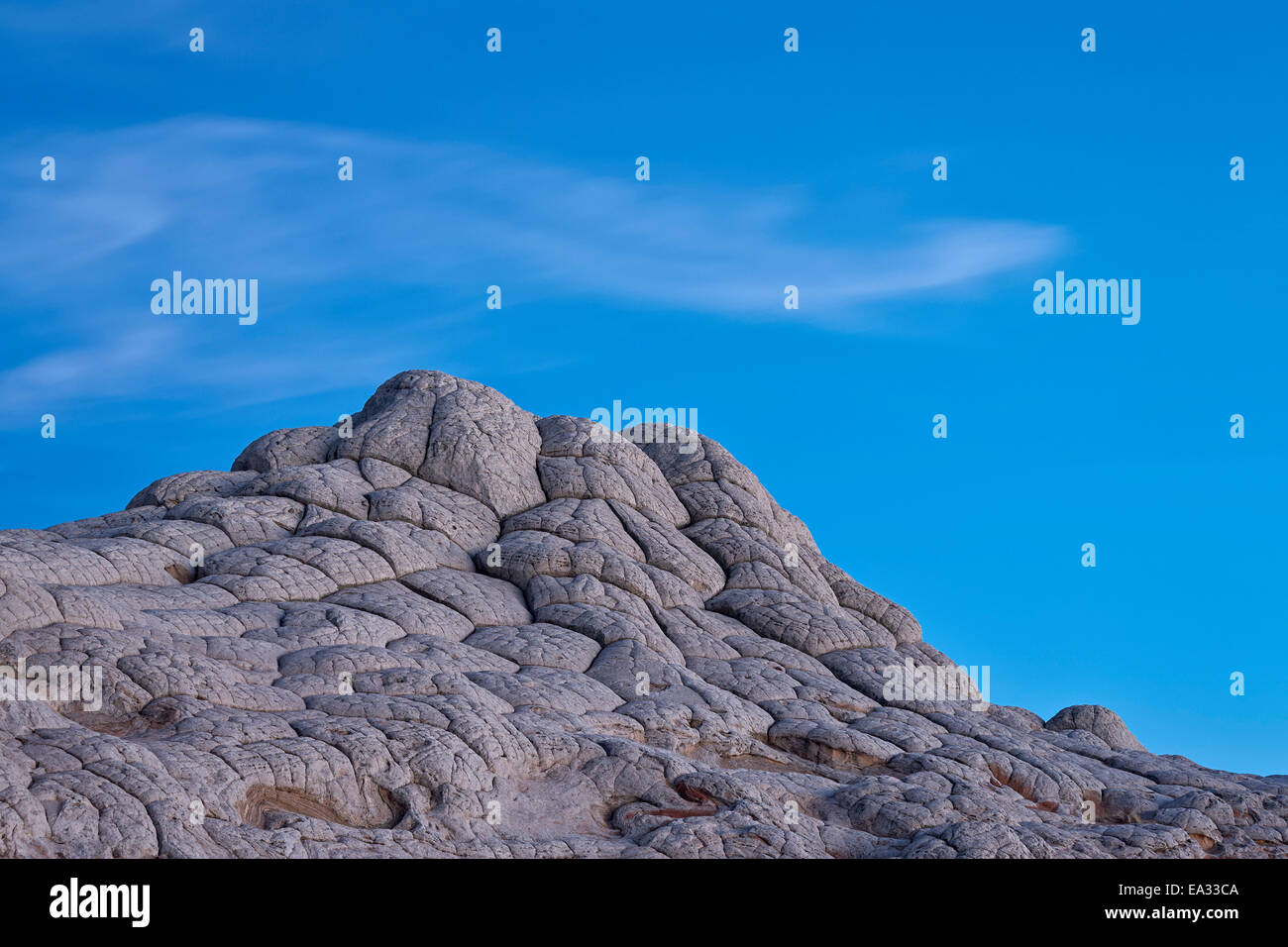 Aus weißem Sandstein ausgehöhlt wie ein Gehirn, White Pocket, Vermilion Cliffs National Monument, Arizona, USA Stockfoto