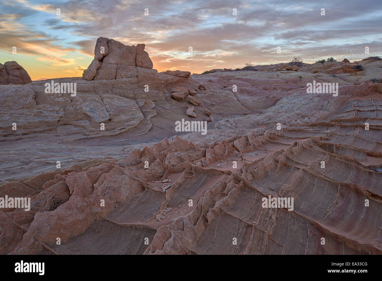 Sandstein flossen bei Sonnenaufgang, Coyote Buttes Wilderness, Vermilion Cliffs National Monument, Arizona, USA Stockfoto