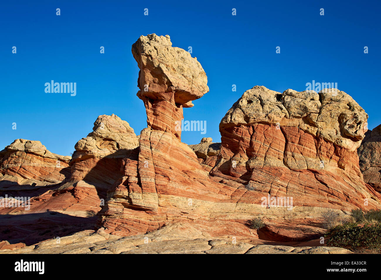 Sandstein-Formationen, Coyote Buttes Wilderness, Vermilion Cliffs National Monument, Arizona, USA Stockfoto