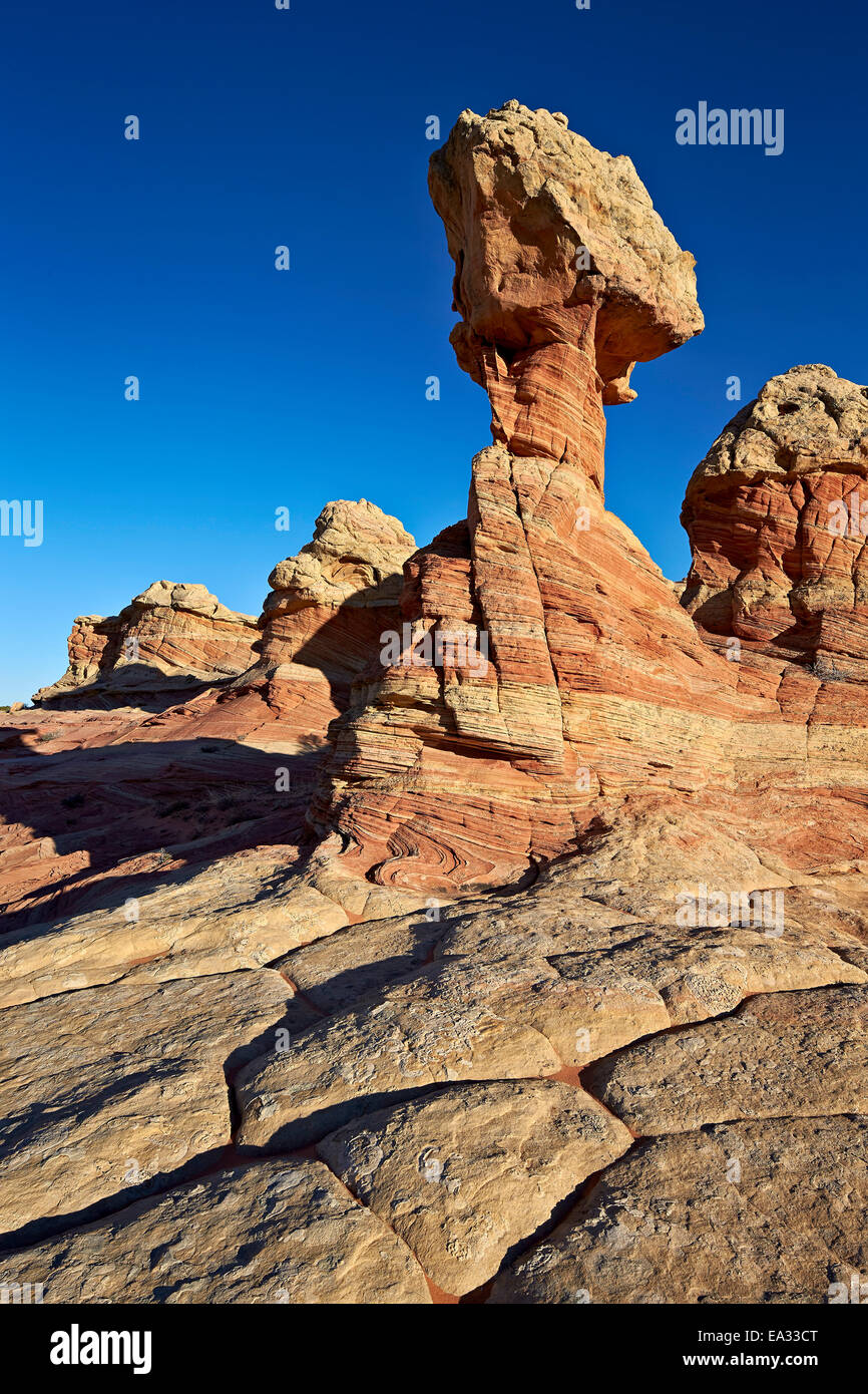 Sandstein-Formationen, Coyote Buttes Wilderness, Vermilion Cliffs National Monument, Arizona, USA Stockfoto