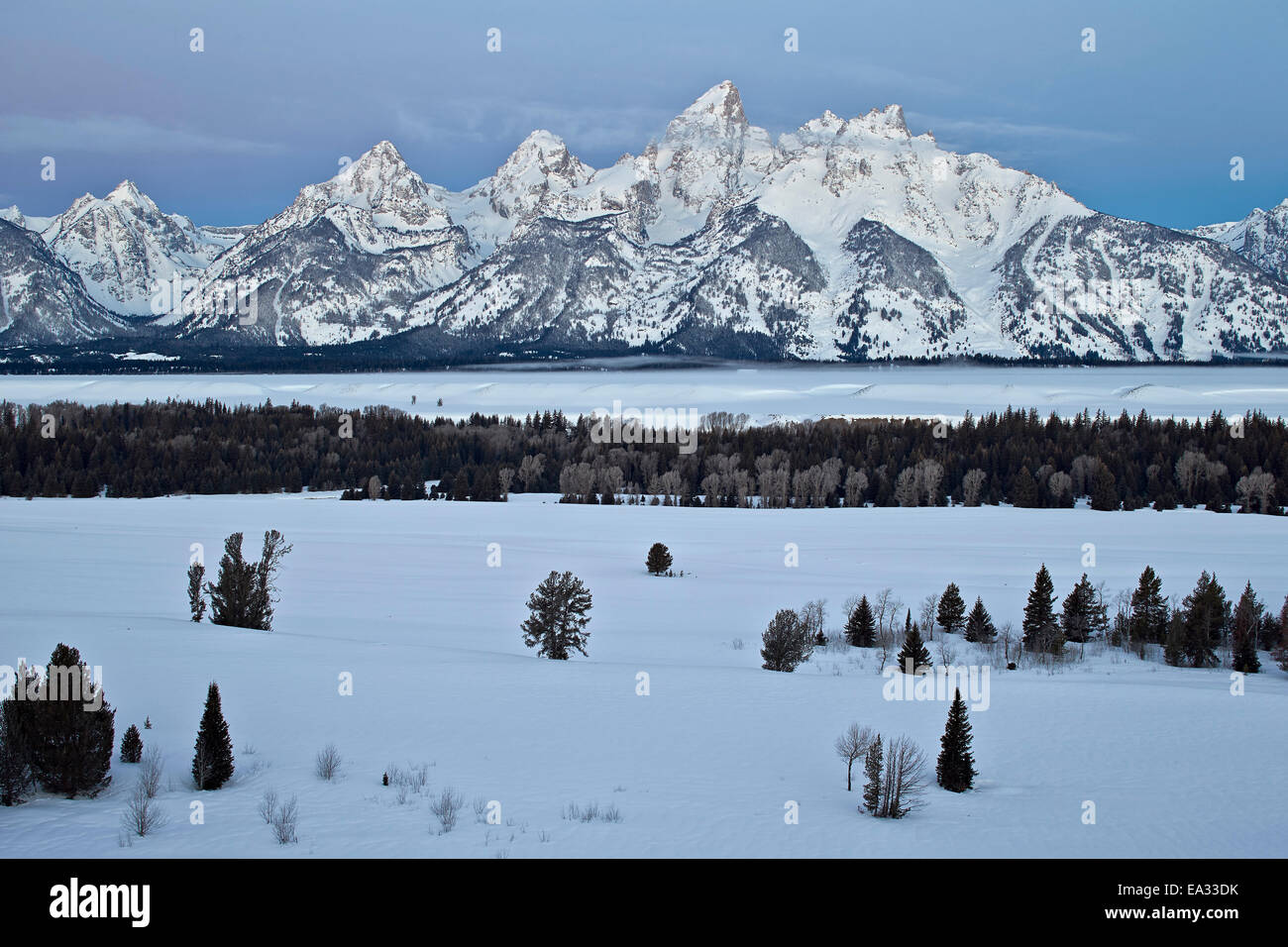 Teton Range im Morgengrauen in den Winter, Grand-Teton-Nationalpark, Wyoming, Vereinigte Staaten von Amerika, Nord Amerika Stockfoto