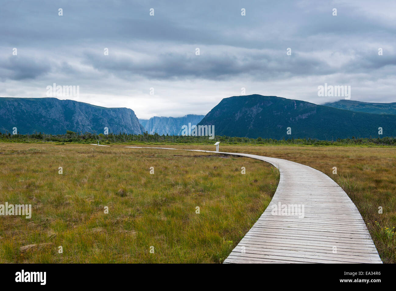 Gehweg entlang Jerrys Teich in Gros Morne National Park, UNESCO World Heritage Site, Neufundland, Kanada, Nordamerika Stockfoto