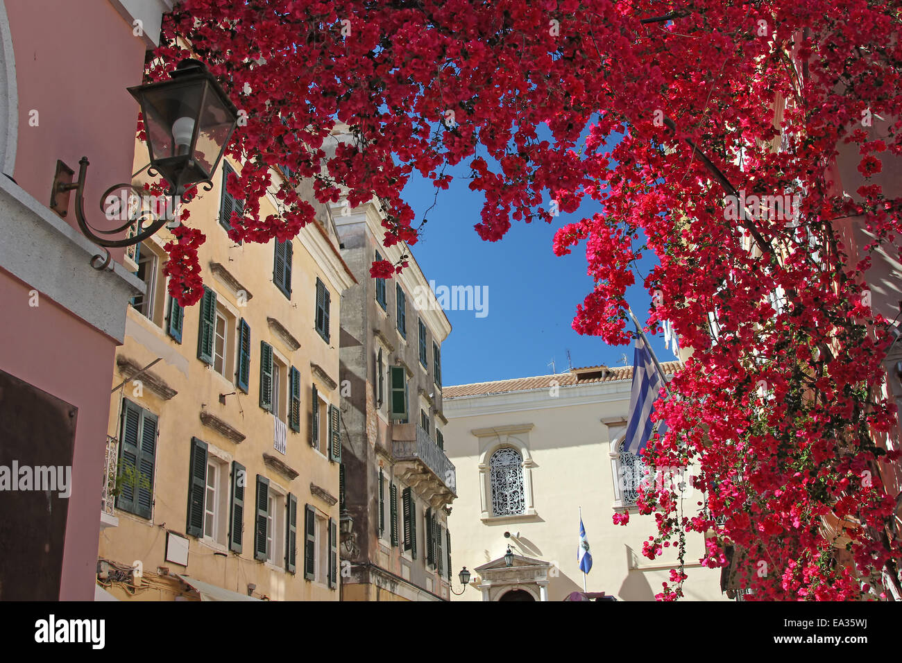 Violetten Bougainvillea in einer mediterranen Stadt Stockfoto