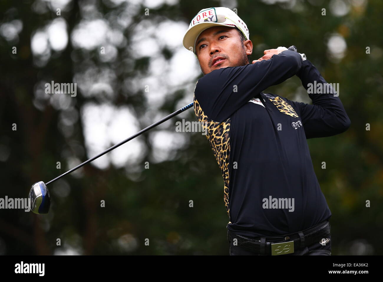 Chiba, Japan. 6. November 2014. Shingo Katayama Golf: HEIWA PGM Meisterschaft in Kasumigaura ersten Runde im Miho Golf Club in Chiba, Japan. © AFLO SPORT/Alamy Live-Nachrichten Stockfoto