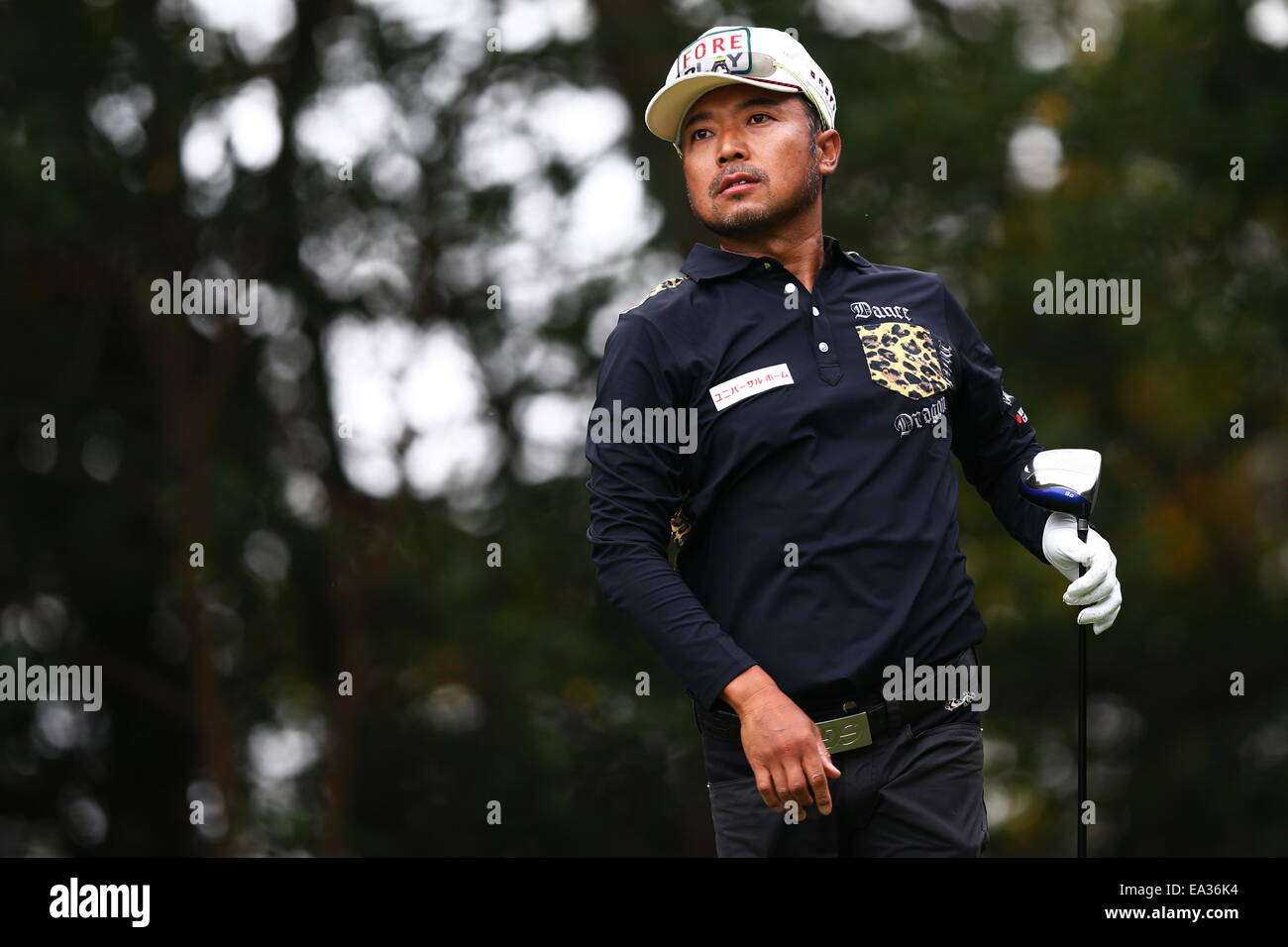 Chiba, Japan. 6. November 2014. Shingo Katayama Golf: HEIWA PGM Meisterschaft in Kasumigaura ersten Runde im Miho Golf Club in Chiba, Japan. © AFLO SPORT/Alamy Live-Nachrichten Stockfoto