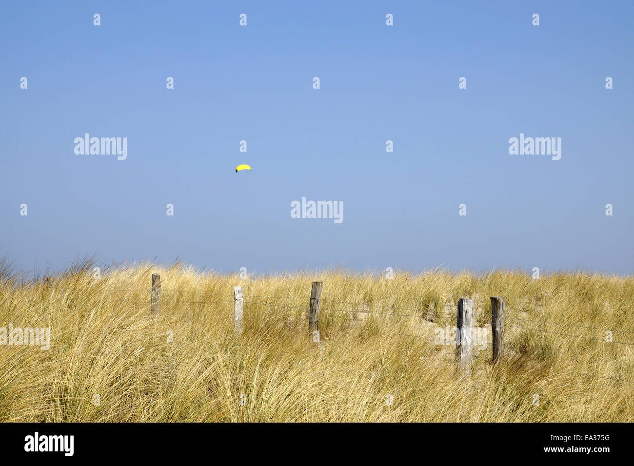 Düne in Heiligenhafen, Ostsee, Deutschland Stockfoto