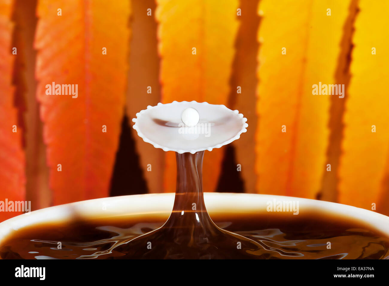High-Speed Fotografie des Herbstes Kaffee mit Schuss Milch Stockfoto
