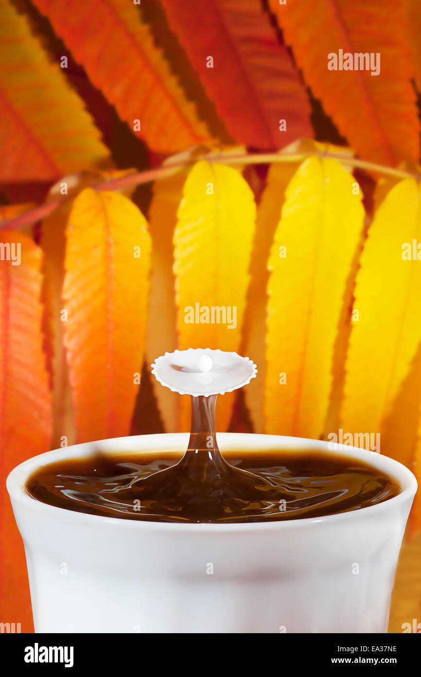 High-Speed Fotografie des Herbstes Kaffee mit Schuss Milch Stockfoto