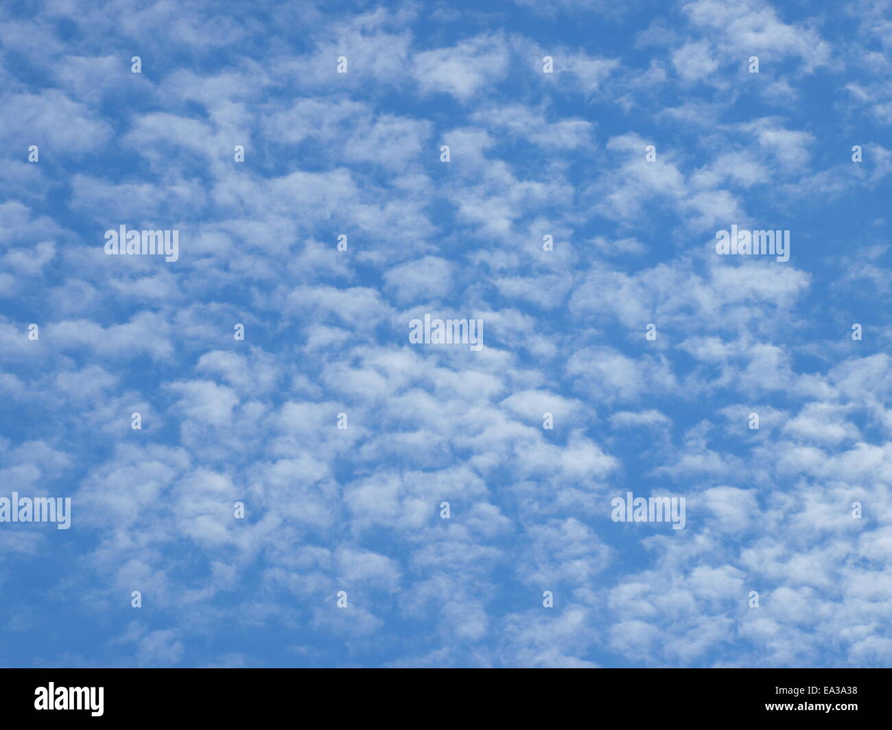 Flauschige Wolken, Cirrocumulus Stockfoto