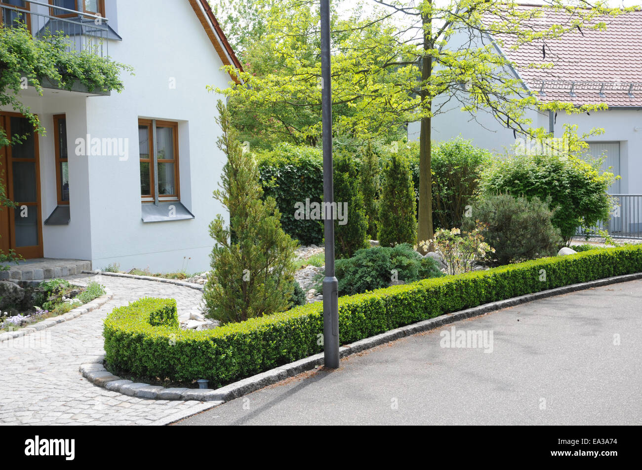 Buchsbaum Hecke Stockfoto