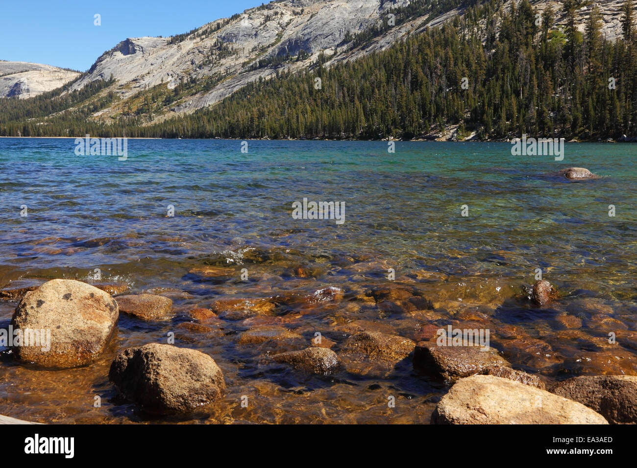 See, Berge und Wälder Stockfoto