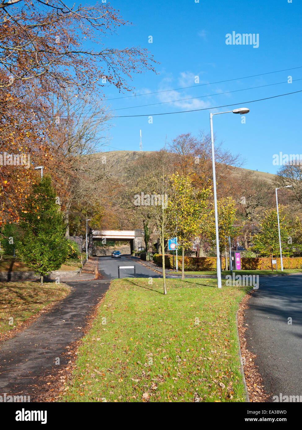 Herbstfärbung bei Friezland, Greenfield, Saddleworth, größere Manchester, UK. Stockfoto