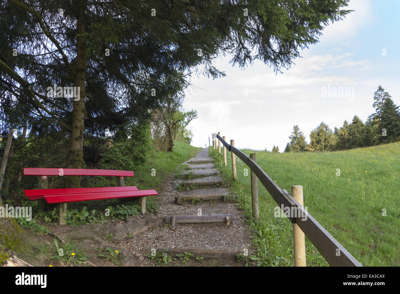 Weg mit Sitzbank Stockfoto