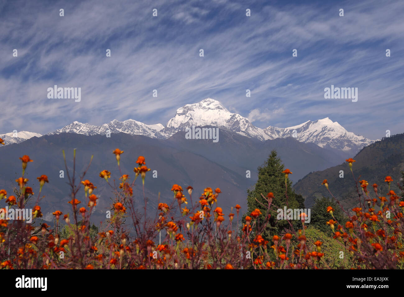 Himalaya. Nepal Stockfoto