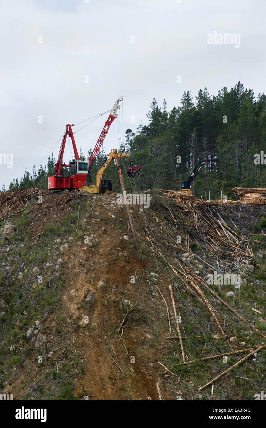 Protokollierung in Neuseeland, meldet Kran ziehen sich bergauf Stockfoto