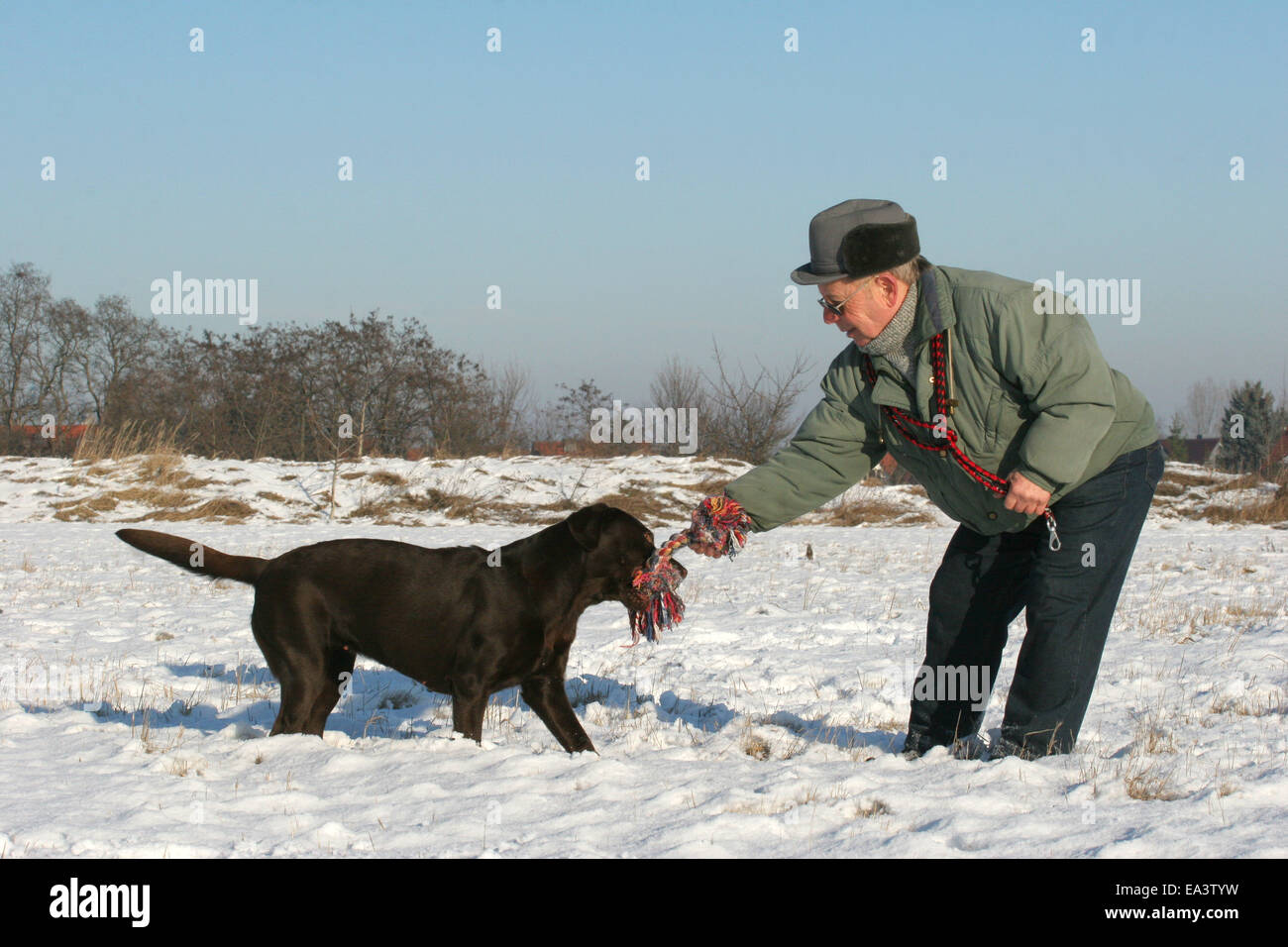 Senior mit Labrador Retriever spielen Stockfoto