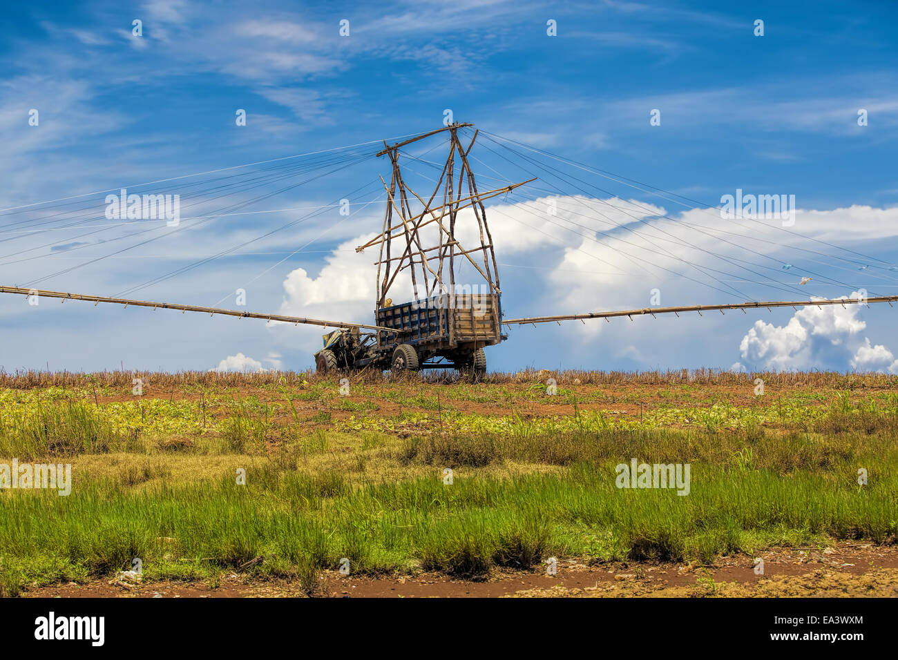 Kambodschanische Alltag Stockfoto