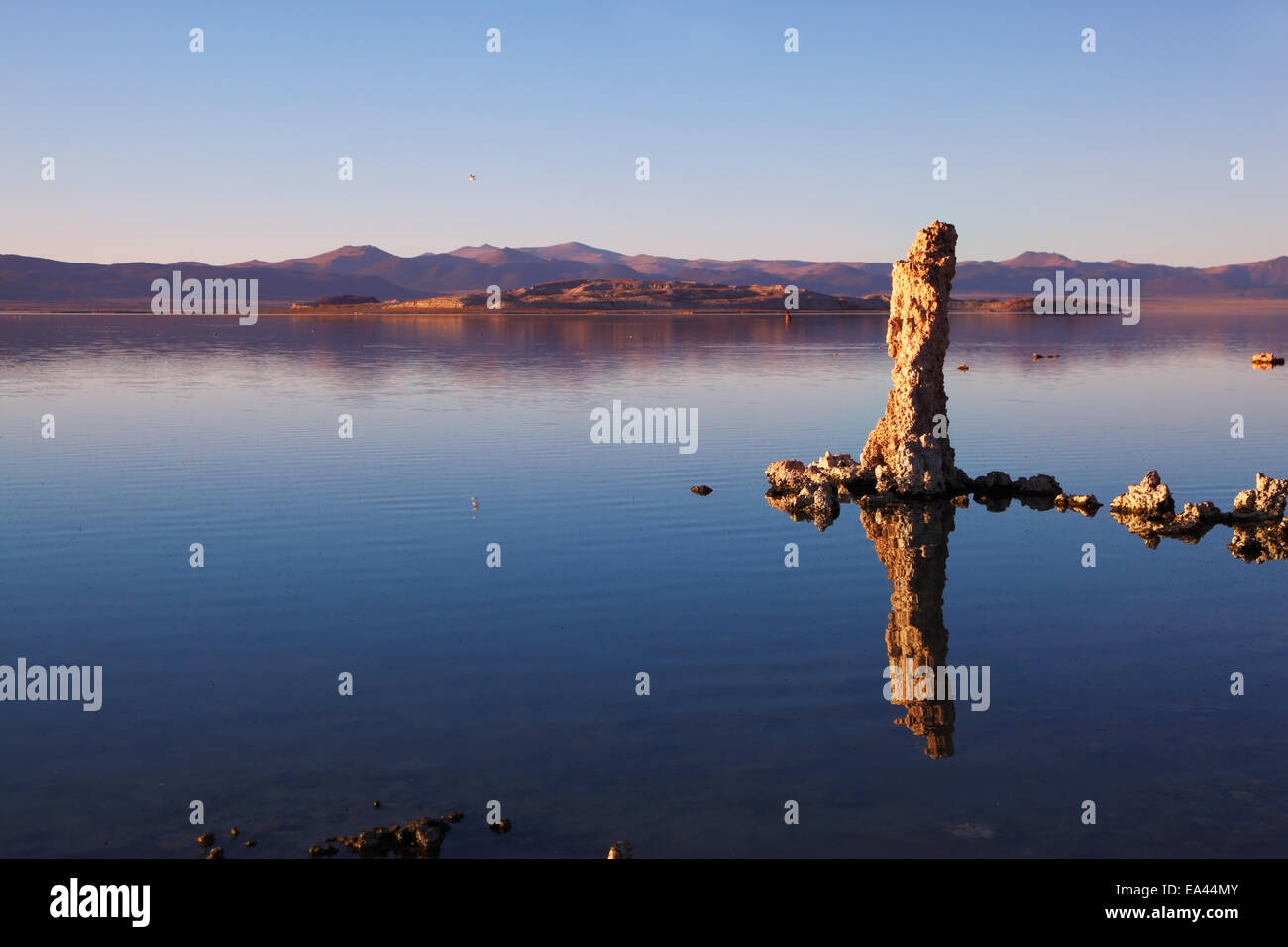 Die wunderschönen fantastischen Riff Stockfoto