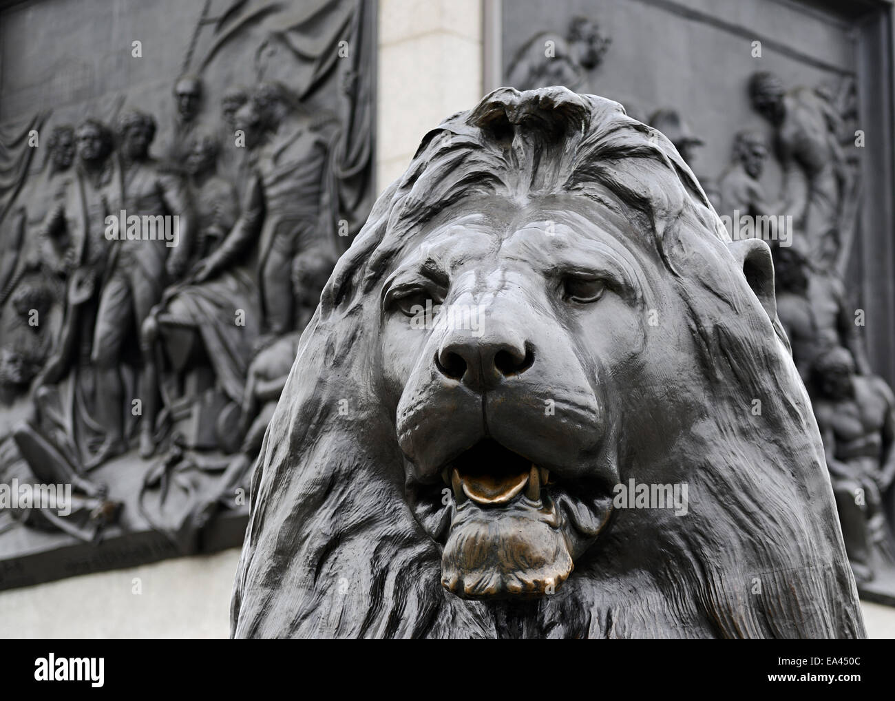 Die Statue eines Löwen, Trafalgar Square, London, UK. Stockfoto