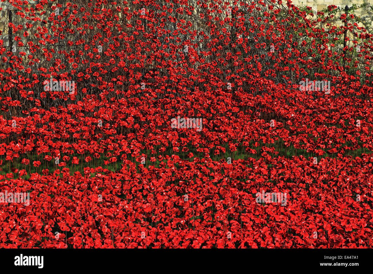 Keramik Mohn Installation Blut Mehrfrequenzdarstellung Länder und Meere von Red The Tower of London Stockfoto