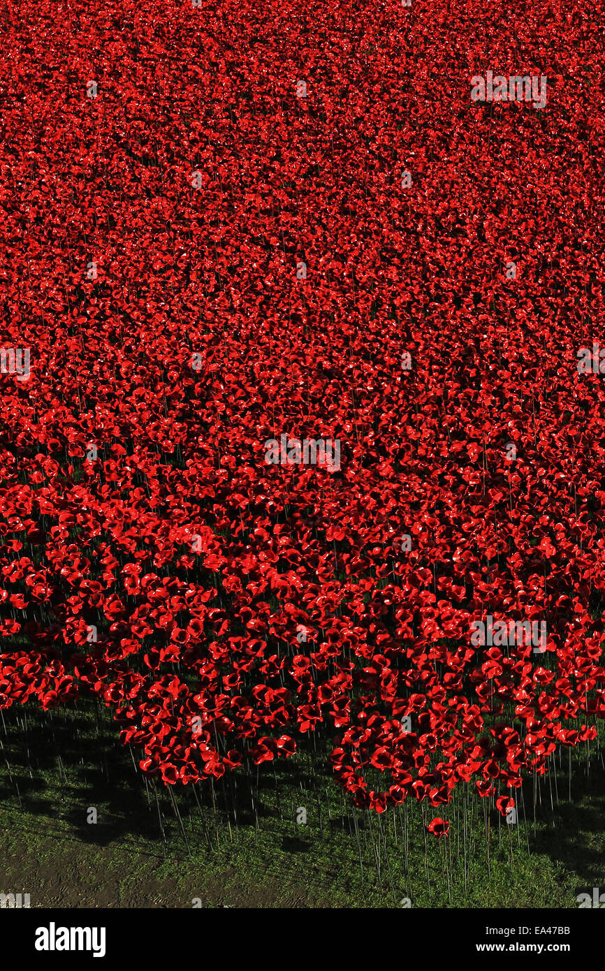 Keramik Mohn Installation Blut Mehrfrequenzdarstellung Länder und Meere von Red The Tower of London Stockfoto