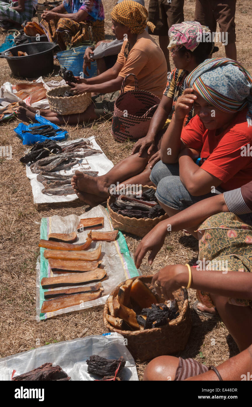 Frauen aus Lamalera beteiligen sich mit ihren getrockneten Walfleisch auf dem Tauschhandel Markt von Wulandoni Dorf, Lembata Island, Indonesien. Stockfoto