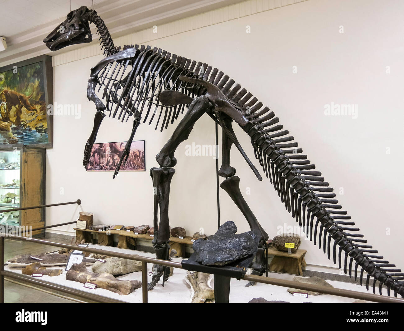 Museum für Geologie, South Dakota School of Mines & Technology in Rapid City, die Black Hills, SD, USA Stockfoto