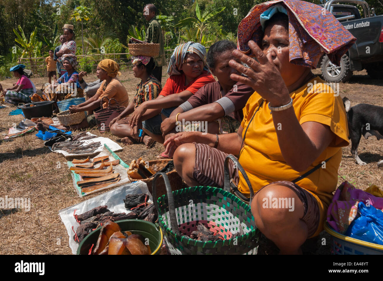 Frauen aus dem Walfangdorf Lamalera, die an einem Tauschmarkt auf Lembata Island, Indonesien, teilnehmen. Stockfoto