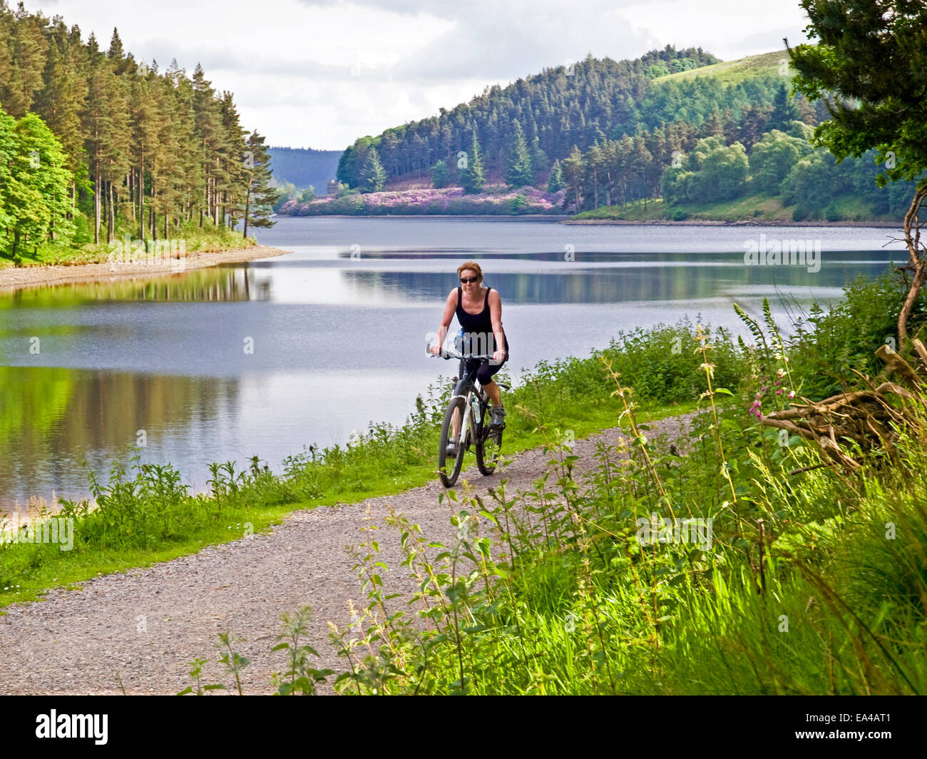 Weibliche Radfahrer reiten entlang der Seite des Ladybower Reservoir in den Peak District, Großbritannien Stockfoto