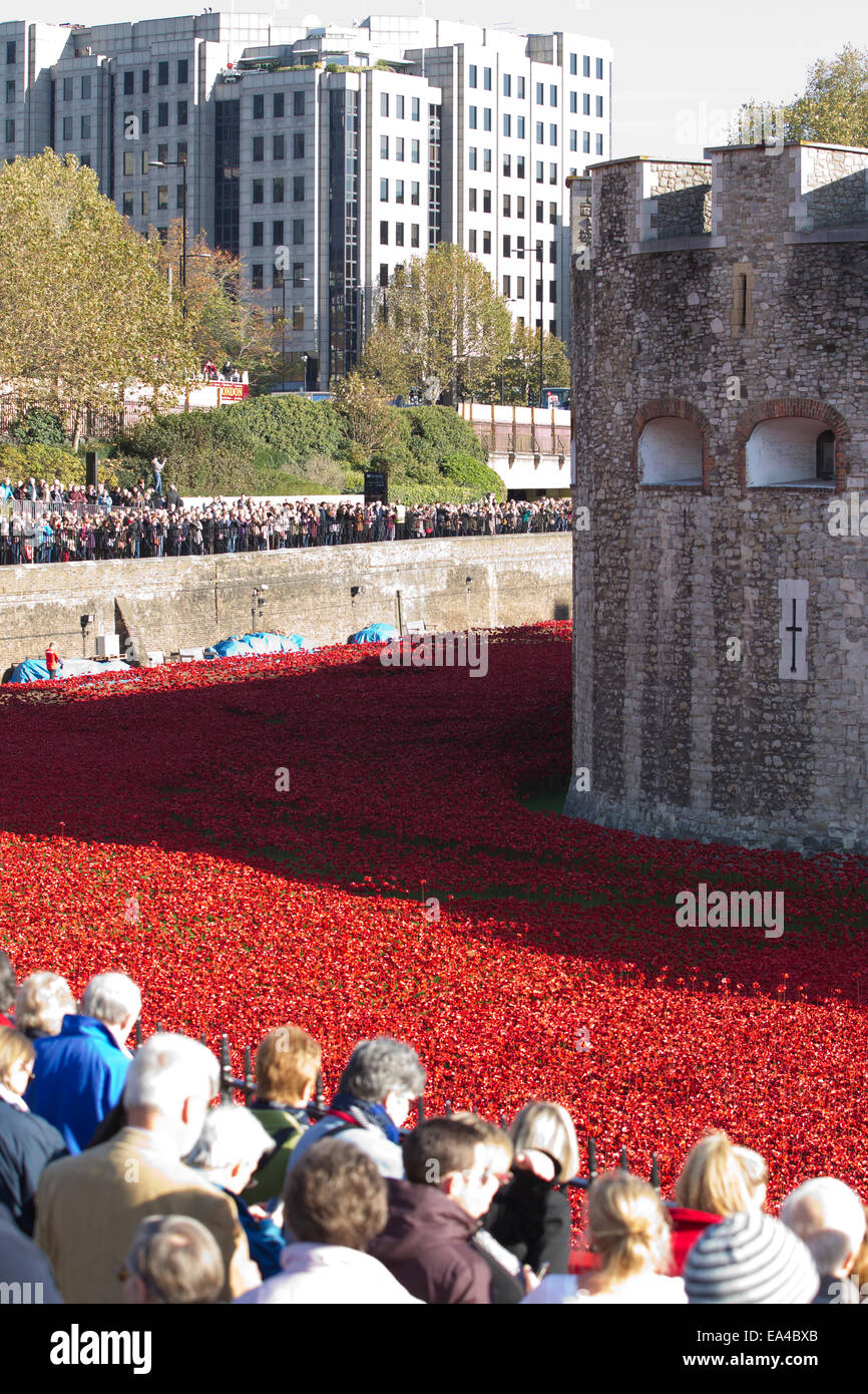 Keramik Mohn in den Graben von der Tower of London-Gedenkmünze anlässlich Tag des Waffenstillstands, London, UK Stockfoto