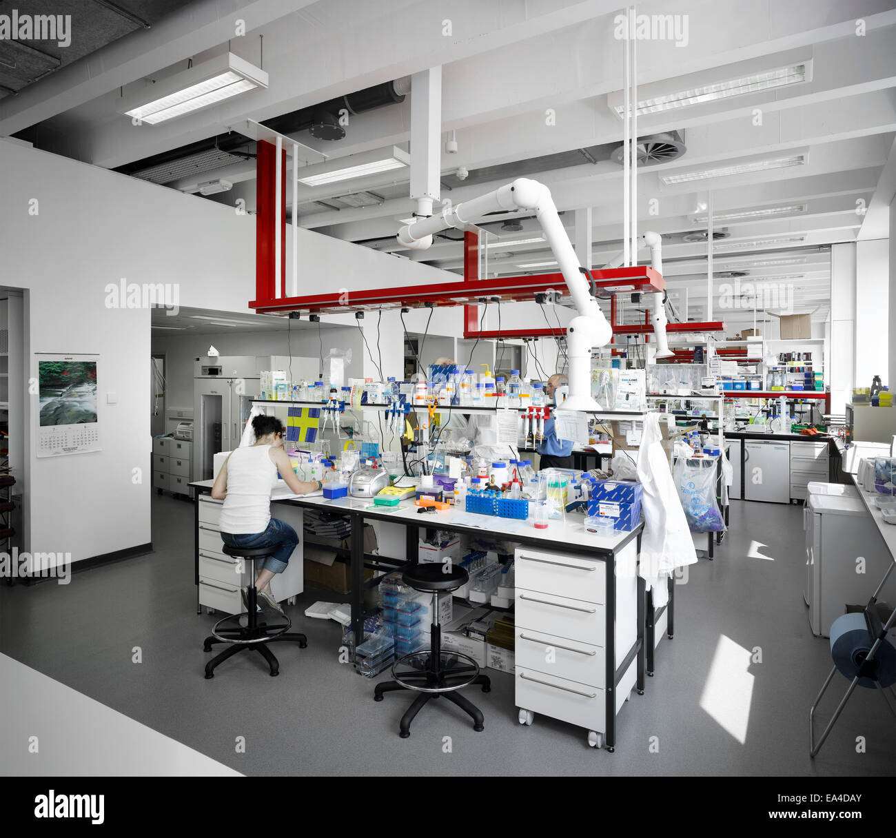 Wissenschaftlicher Mitarbeiter im Labor, Manchester interdisziplinäre Biozentrum, John Garside Building, England, UK. Stockfoto