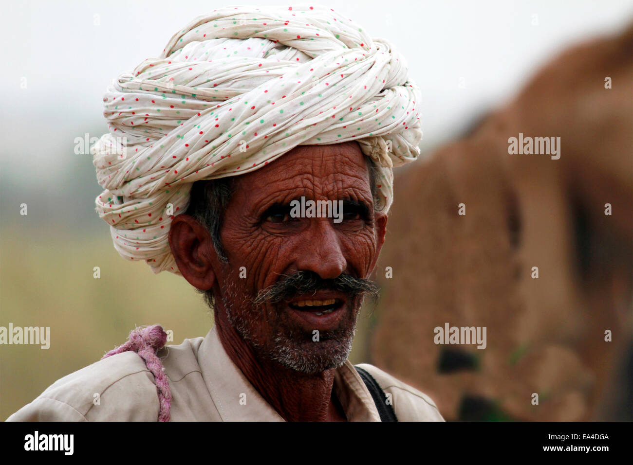 Turban, indische, Männlich, Alter Mann, Dorfbewohner, Schnurrbart, Bart in Pushkar, Rajasthan, Indien. Stockfoto