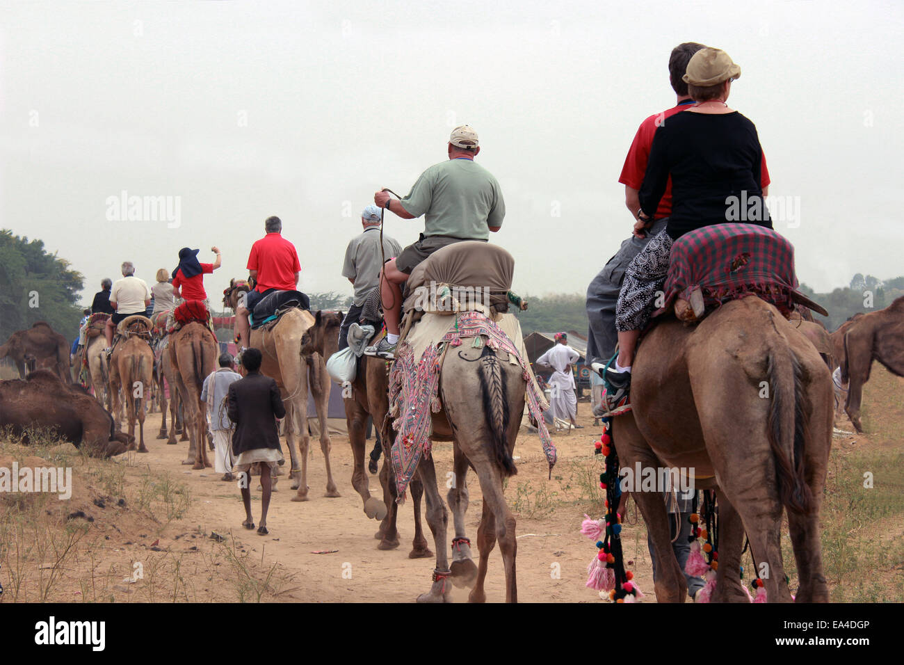 Kamel, Kamele, Ostafrika, horizontal, Kenia, Kenia, Maralal, Menschen, Person, Reiten, Reiten, Samburu, besichtigen, Besichtigung, Stockfoto