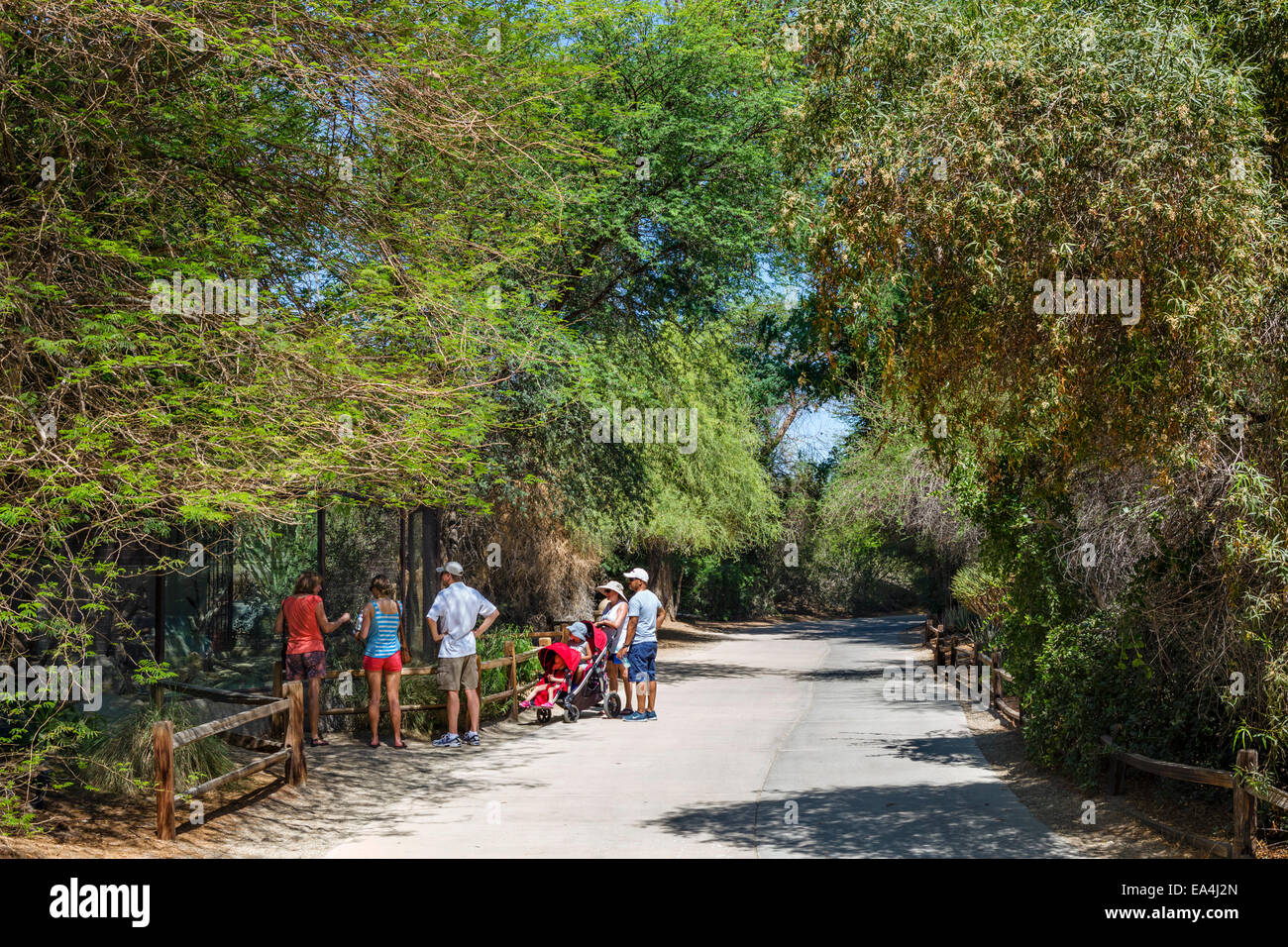 Besucher an der Living Desert Zoo und Gärten, Palm Desert, Riverside County, Süd-Kalifornien, USA Stockfoto