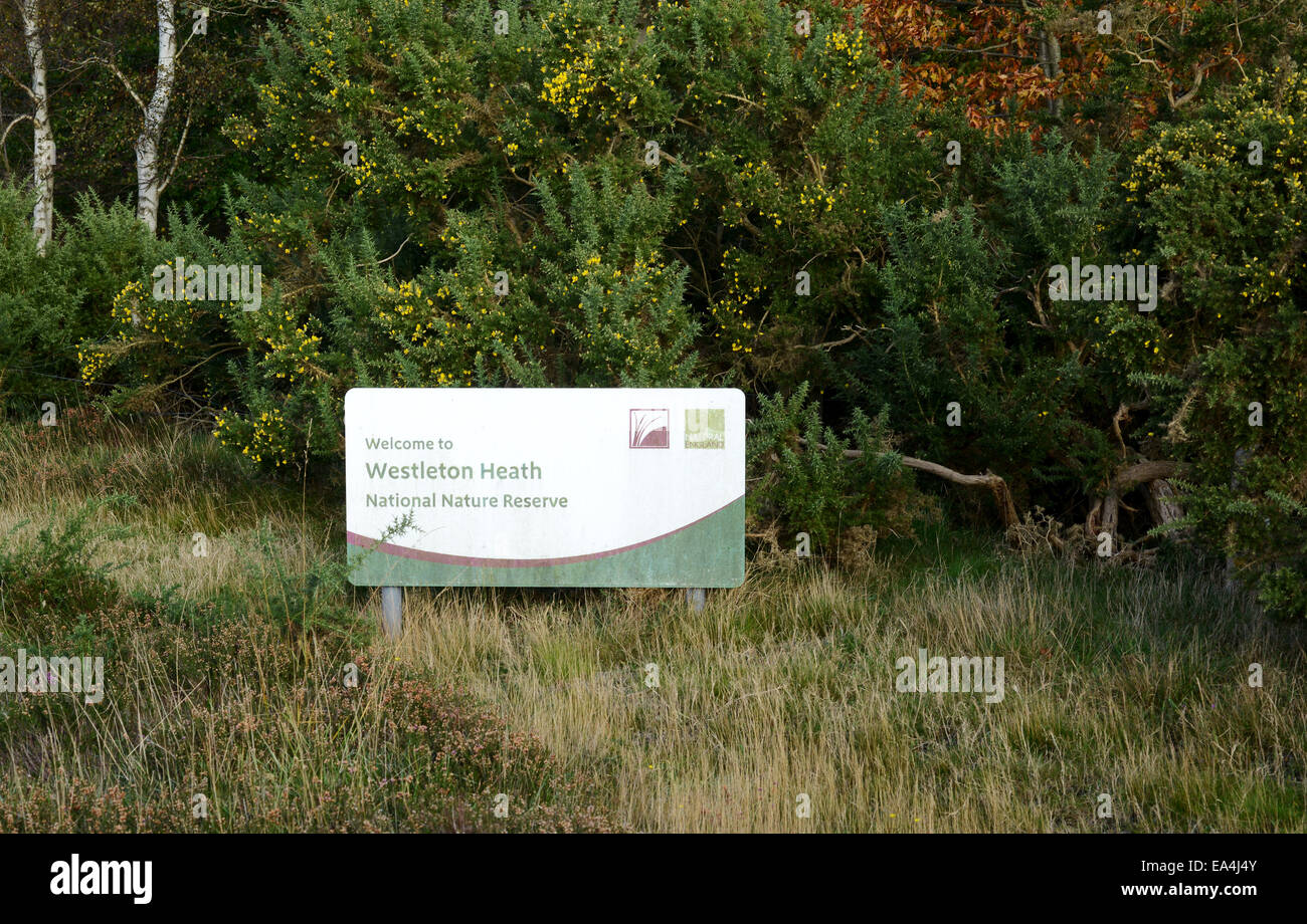 Nationalen Naturschutzgebiet Westleton Heide Stockfoto