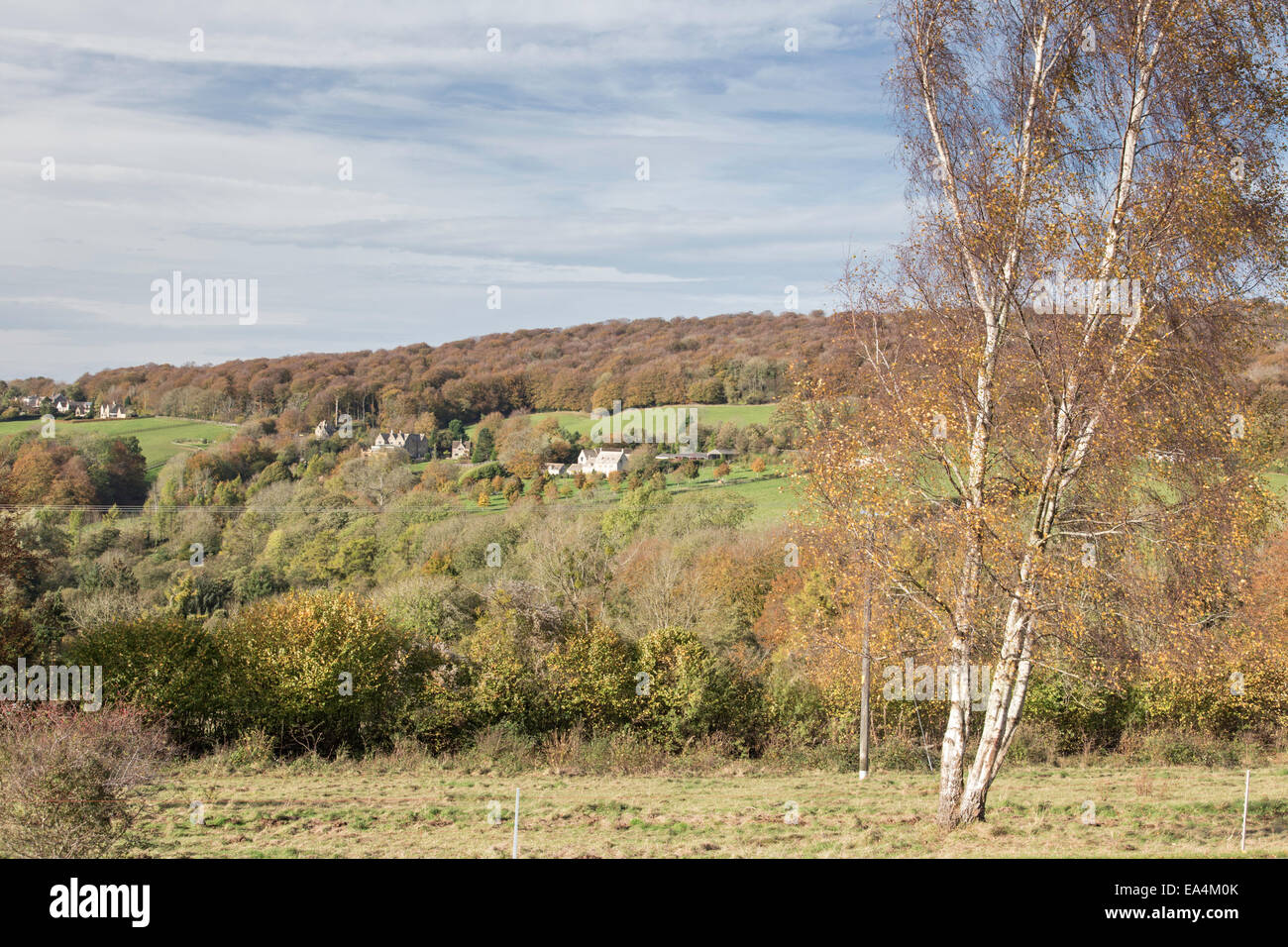 Herbst auf Cranham gemeinsamen Teil des nationalen Naturschutzgebiete Gloucestershire, Cranham, Gloucestershire, England, UK Stockfoto