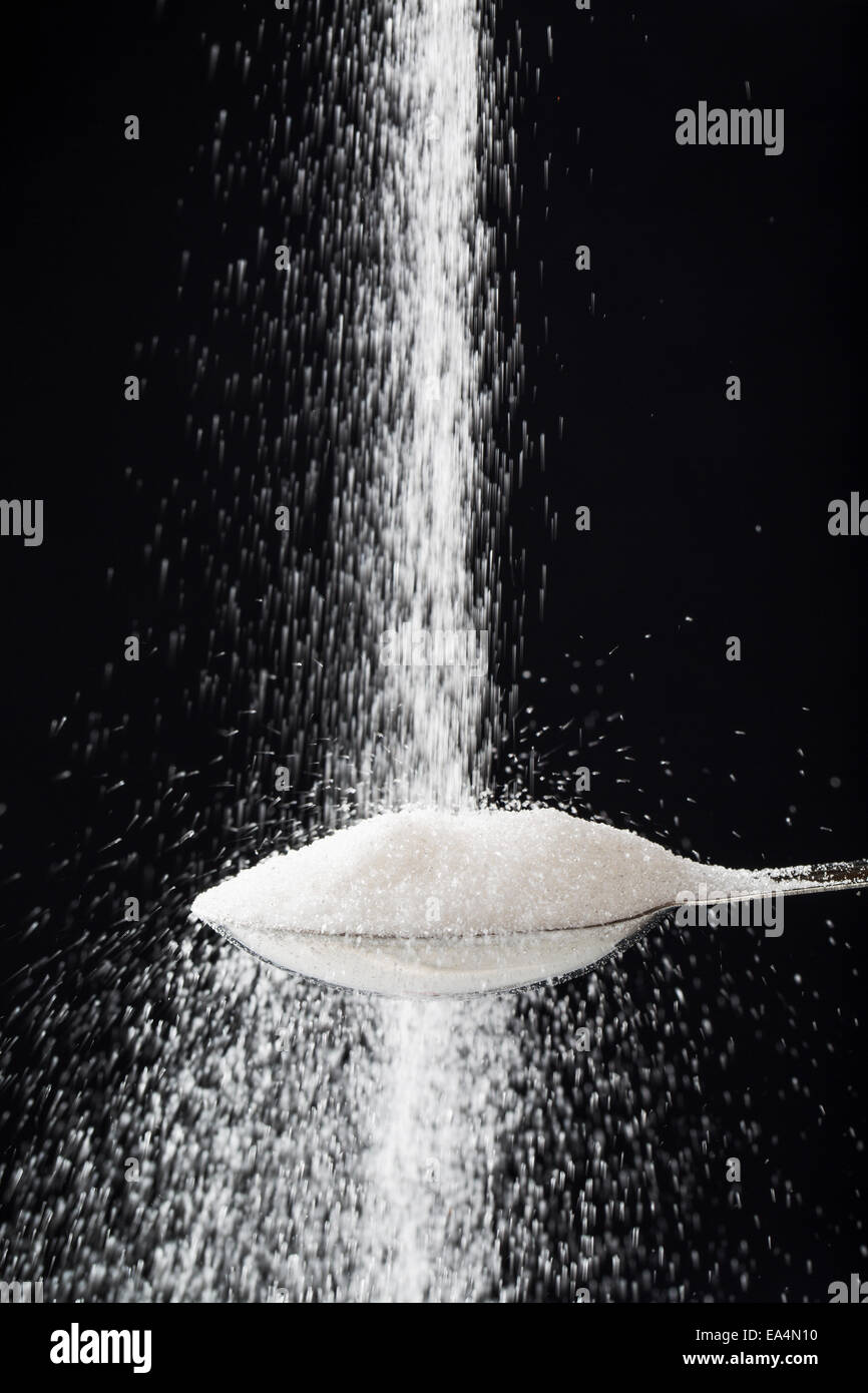 Nahaufnahme von Zucker fallen, füllen einen Teelöffel vor einem schwarzen Hintergrund; Calgary, Alberta, Kanada Stockfoto