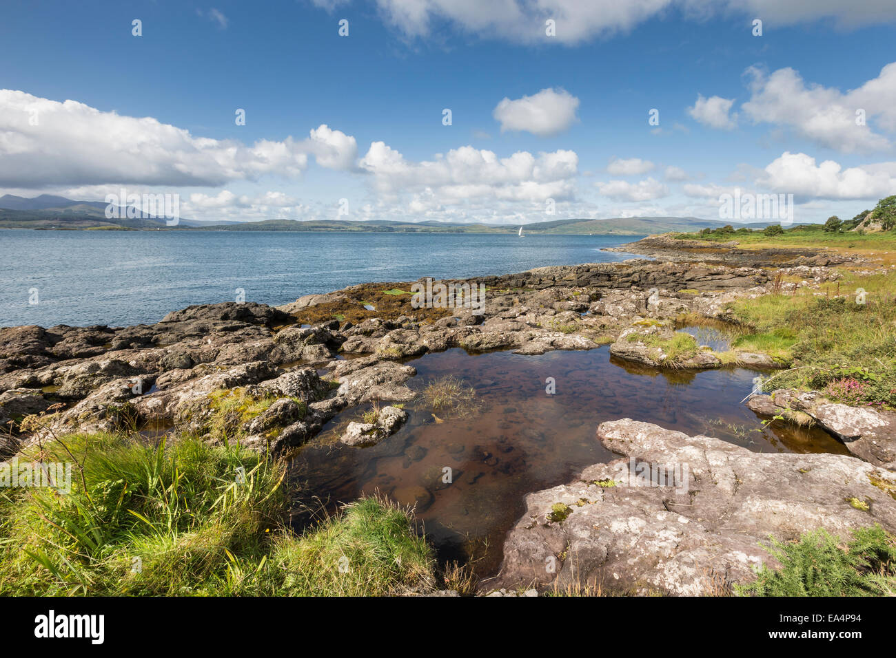Rock Pool an Clach Na Criche gegenüber der Isle of Mull in Schottland. Stockfoto