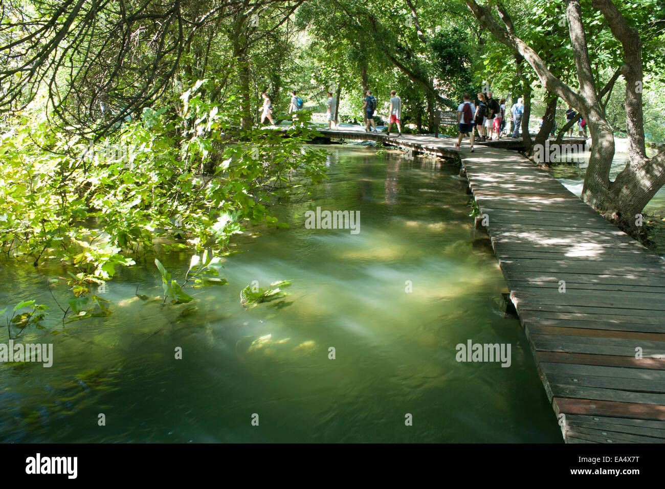 Sonnenlicht auf dem Wasser Stockfoto