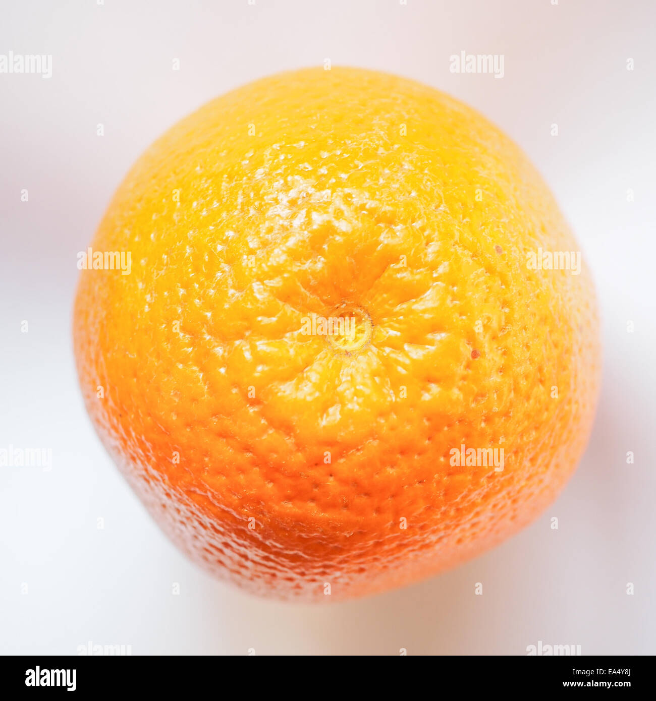 Süße orange Frucht von citrus sinensis Stockfoto