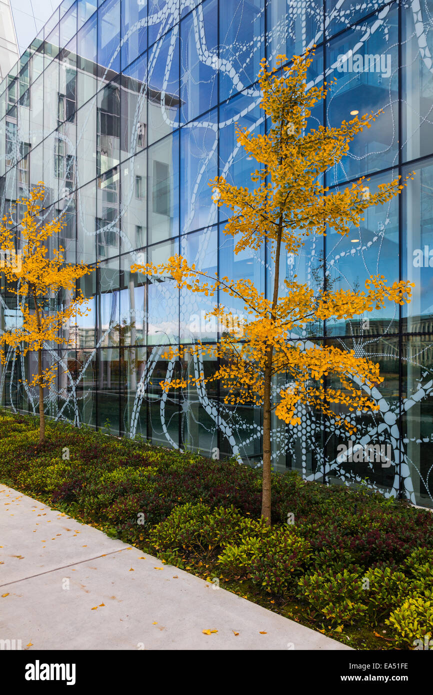 Kleine Bäume mit gelben Blättern gegen eine dekorative Außen Glas Wand in Vancouver Stockfoto