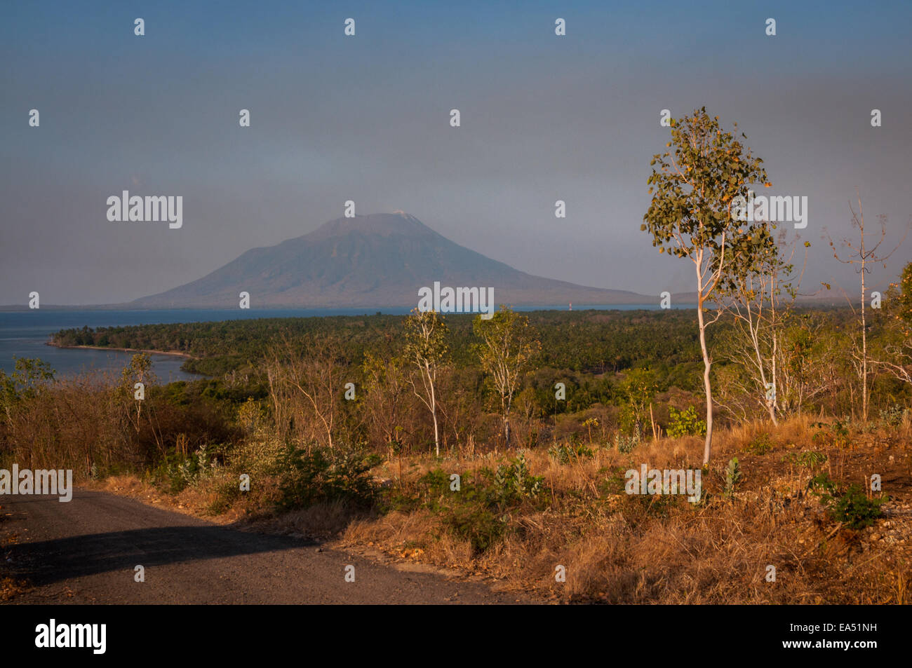 Der Vulkan Lewotolok wird von einer Straße zum Waijarang-Hügel auf der Insel Lembata, Lembata, East Nusa Tenggara, Indonesien, aus gesehen. Stockfoto