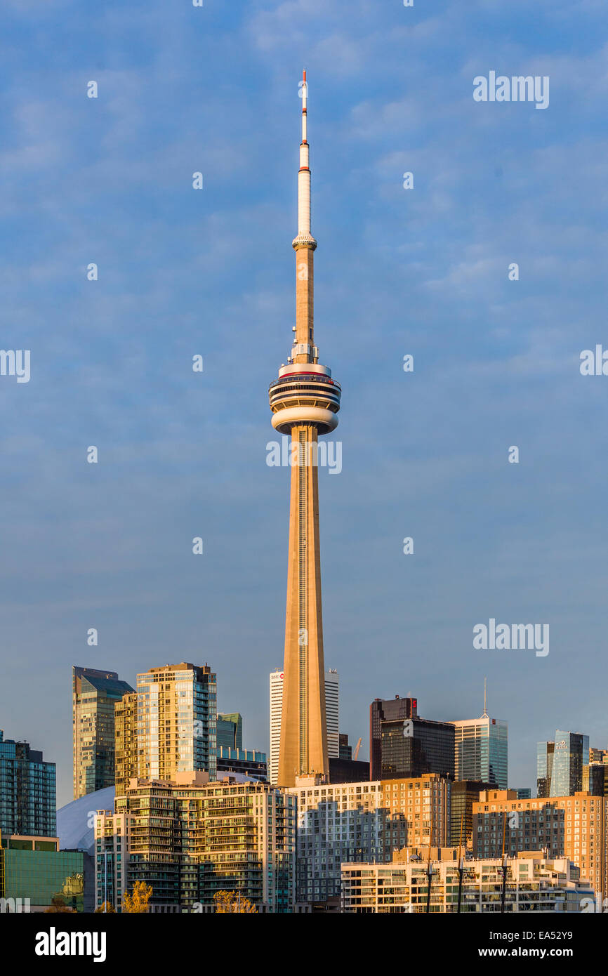 Toronto Stadtbild mit CN Tower von den Inseln am späten Nachmittag. Stockfoto