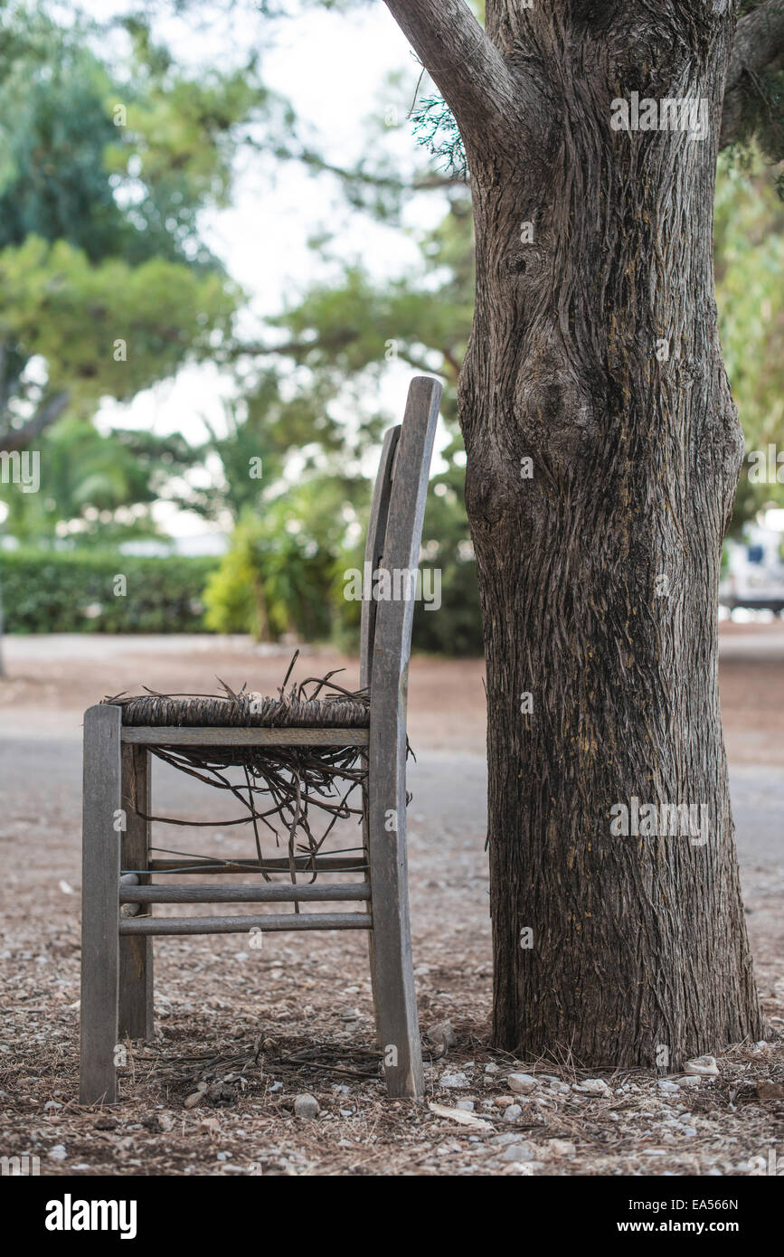 Vintage griechische Sessel und ein Baum Stockfoto