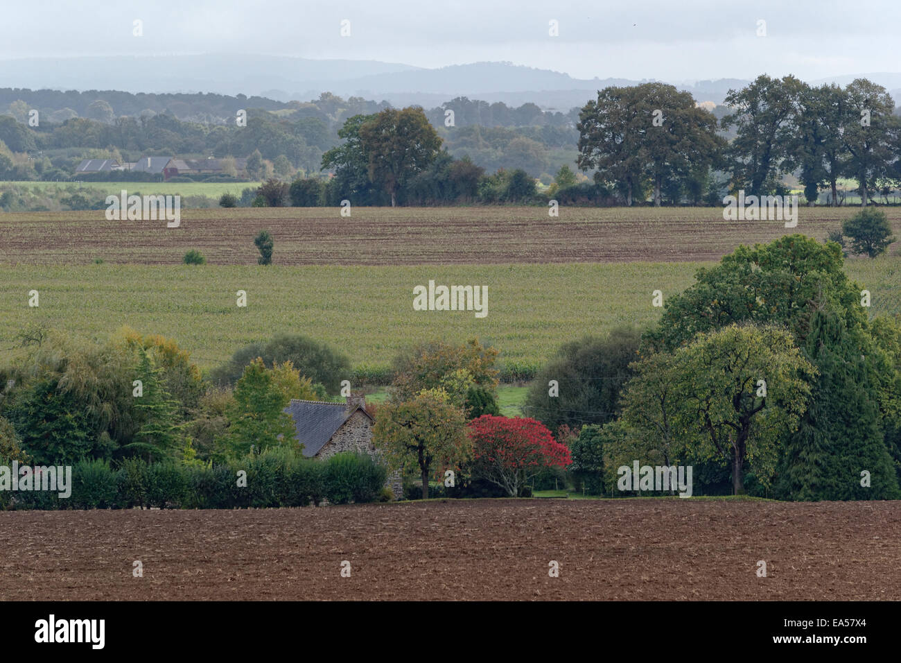 Ein kleines Haus auf dem Lande, Hain von der nördlichen Mayenne. Stockfoto