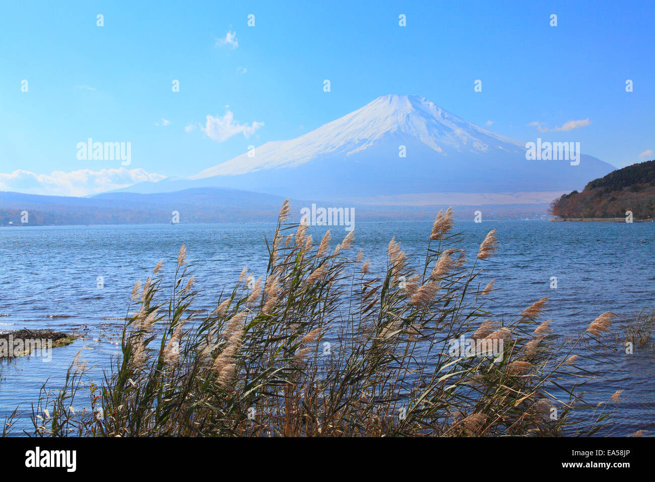 Blick auf den Mount Fuji Stockfoto